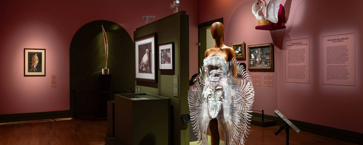 Expositie in Den Haag